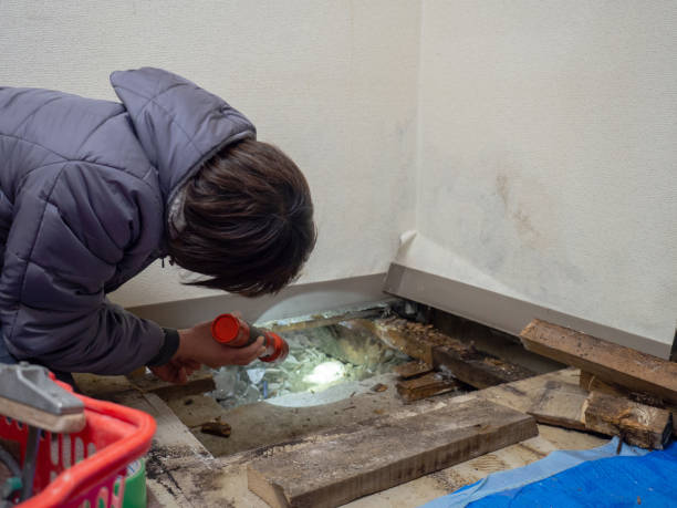 Best Forensic Mold Investigation  in Hartford, CT