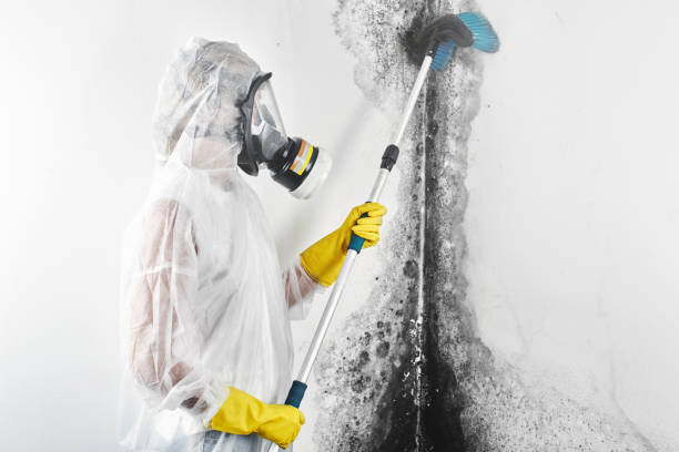 Best Airborne Mold Testing  in Hartford, CT