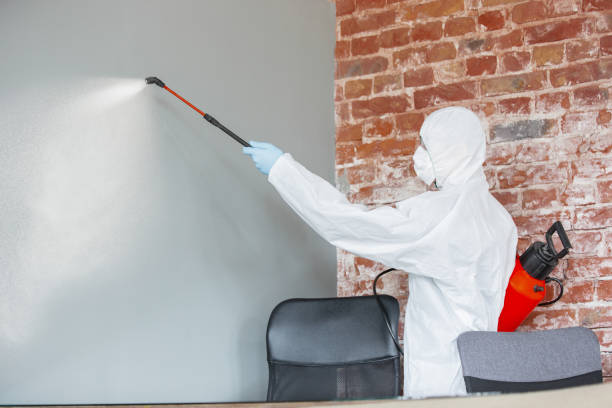 Best Air Quality Testing for Mold Spores  in Hartford, CT