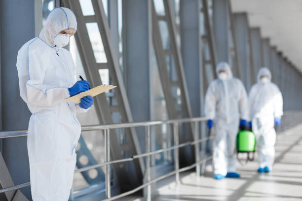 Best Commercial Mold Inspection  in Hartford, CT