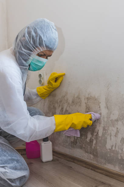 Forensic Mold Investigation in Hartford, CT